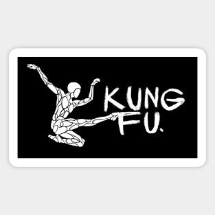 kung fu fighter Magnet